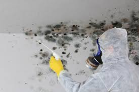 Best Mold Documentation for Insurance Claims  in Cleveland, OH